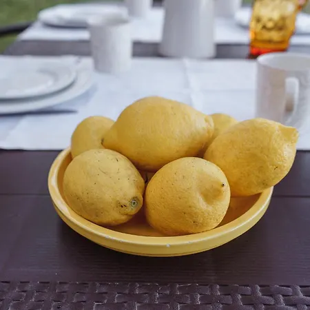 別荘 Casas Da Morgadinha - E *