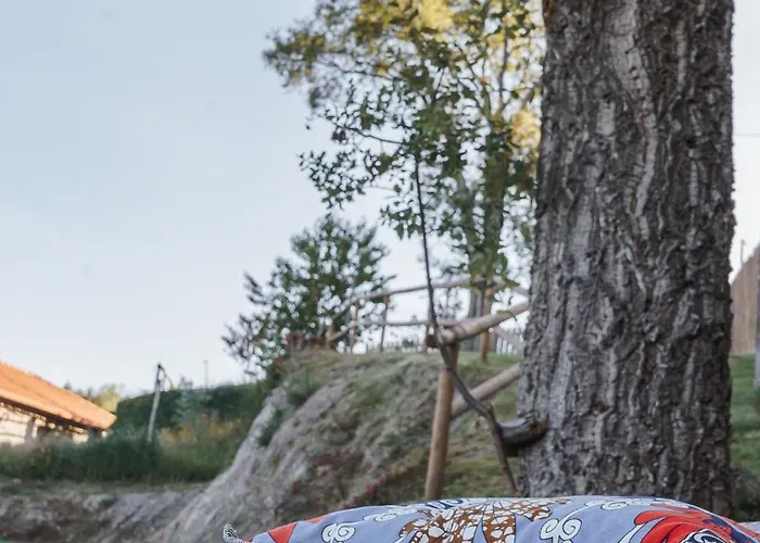 Casas Da Morgadinha - Casas De E Celorico De Basto